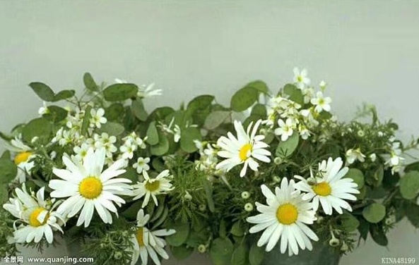 ΢��ͼƬ_20210315111621_��ͼ��.jpg