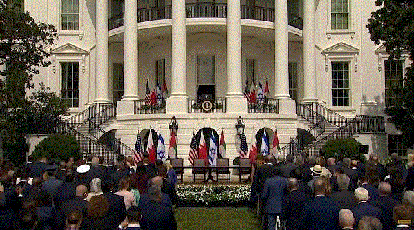 f22efd8353b0439fa48ac10fdc362f68.gif