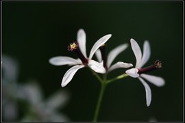 t01ef7e8020aaa0f815.jpg