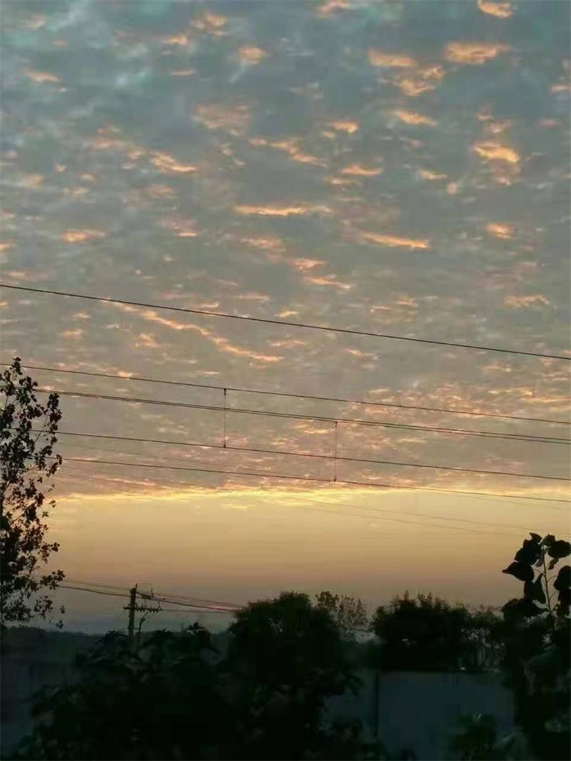 ΢��ͼƬ_20210623122246.jpg