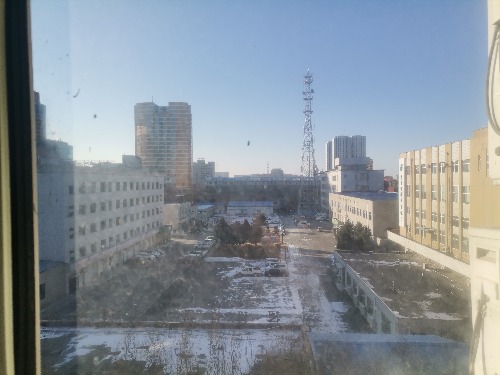 IMG_20221130_084754.jpg