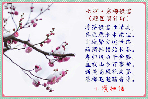 ef2497ccfcd7a61fe83146f518aea683_����.jpg
