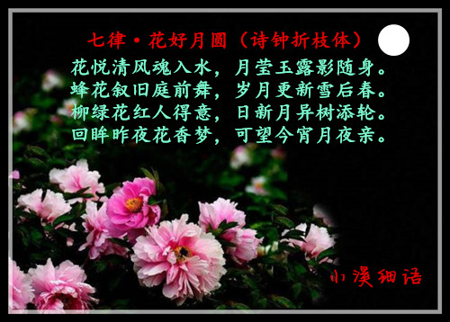 a984213f736c96b8714cf6fc538d294d_����.jpg
