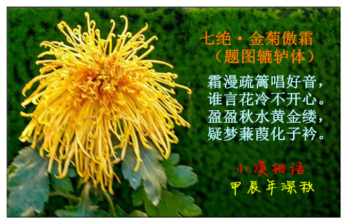 b3094ae616913e132c5ff242c0bee63e_����.jpg
