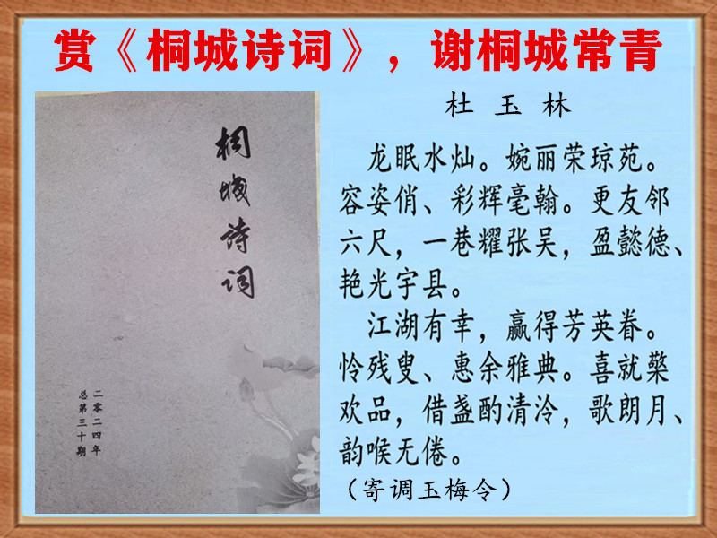 1450��÷����л����.jpg