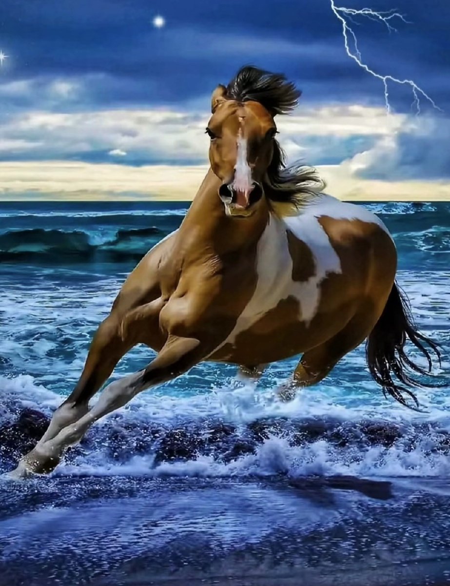 863e5e2d941663a5297652ca159b06f9.png