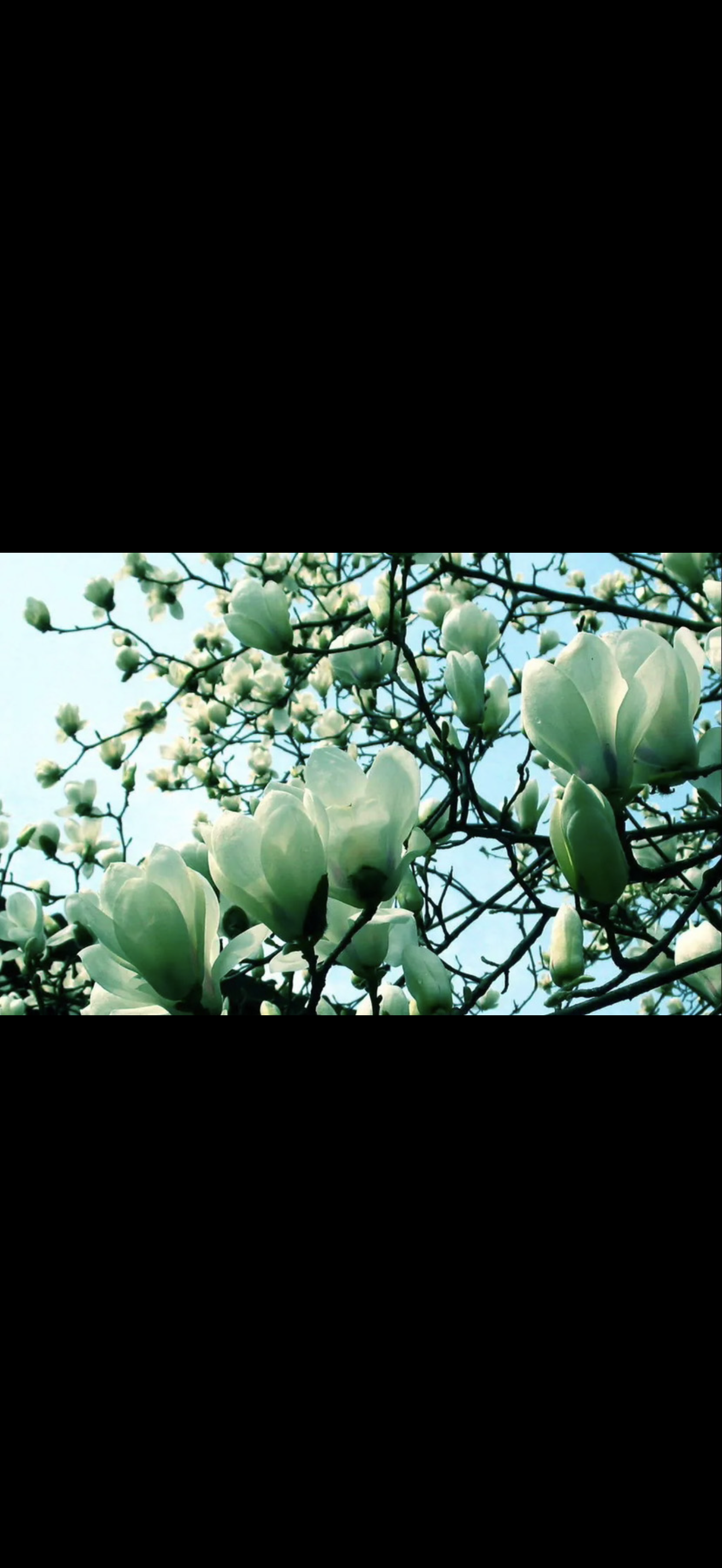 IMG_1652.png